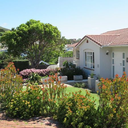 Restio Garden Studio Simon's Town Exterior photo