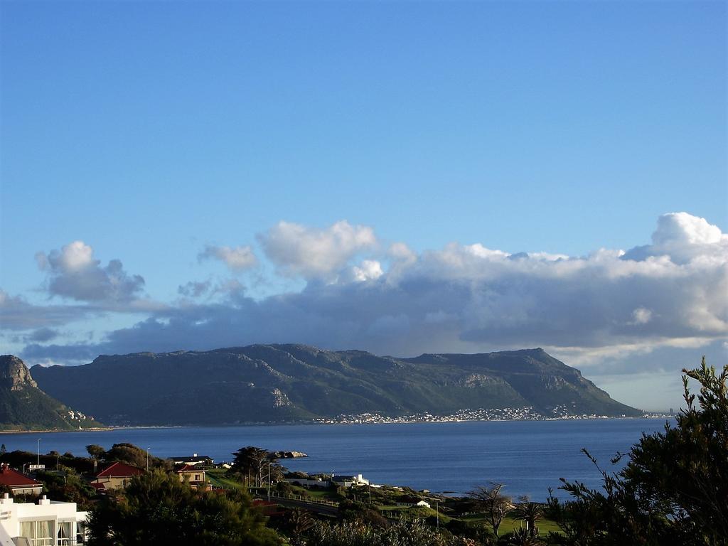 Restio Garden Studio Simon's Town Exterior photo