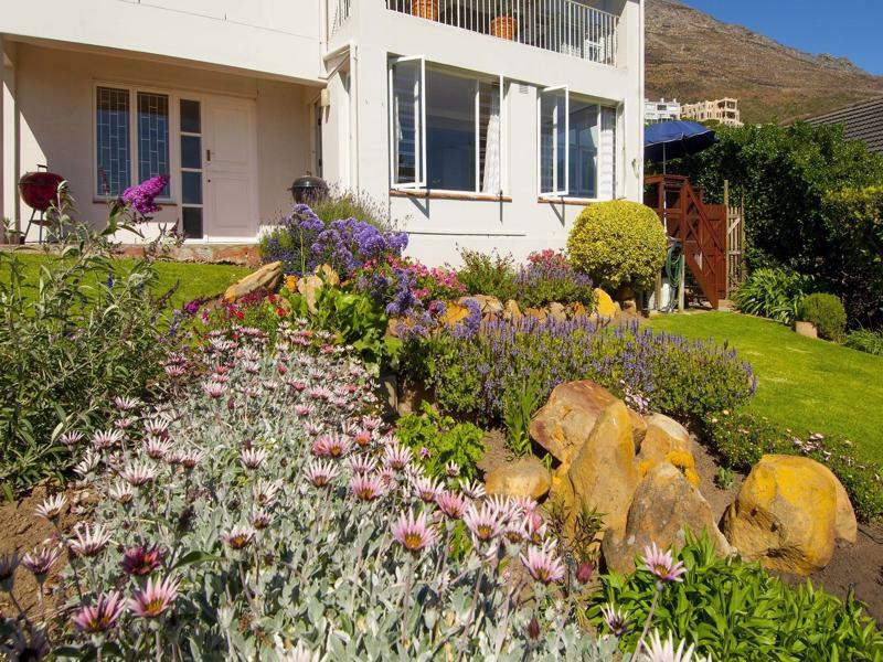 Restio Garden Studio Simon's Town Exterior photo