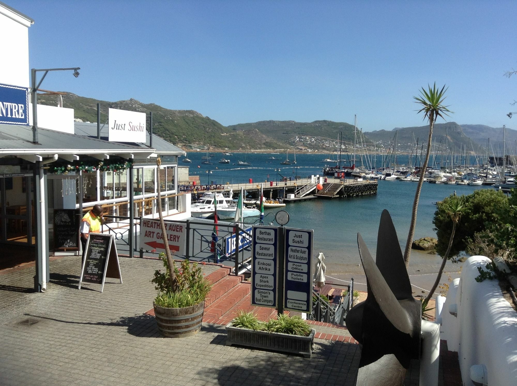 Restio Garden Studio Simon's Town Exterior photo