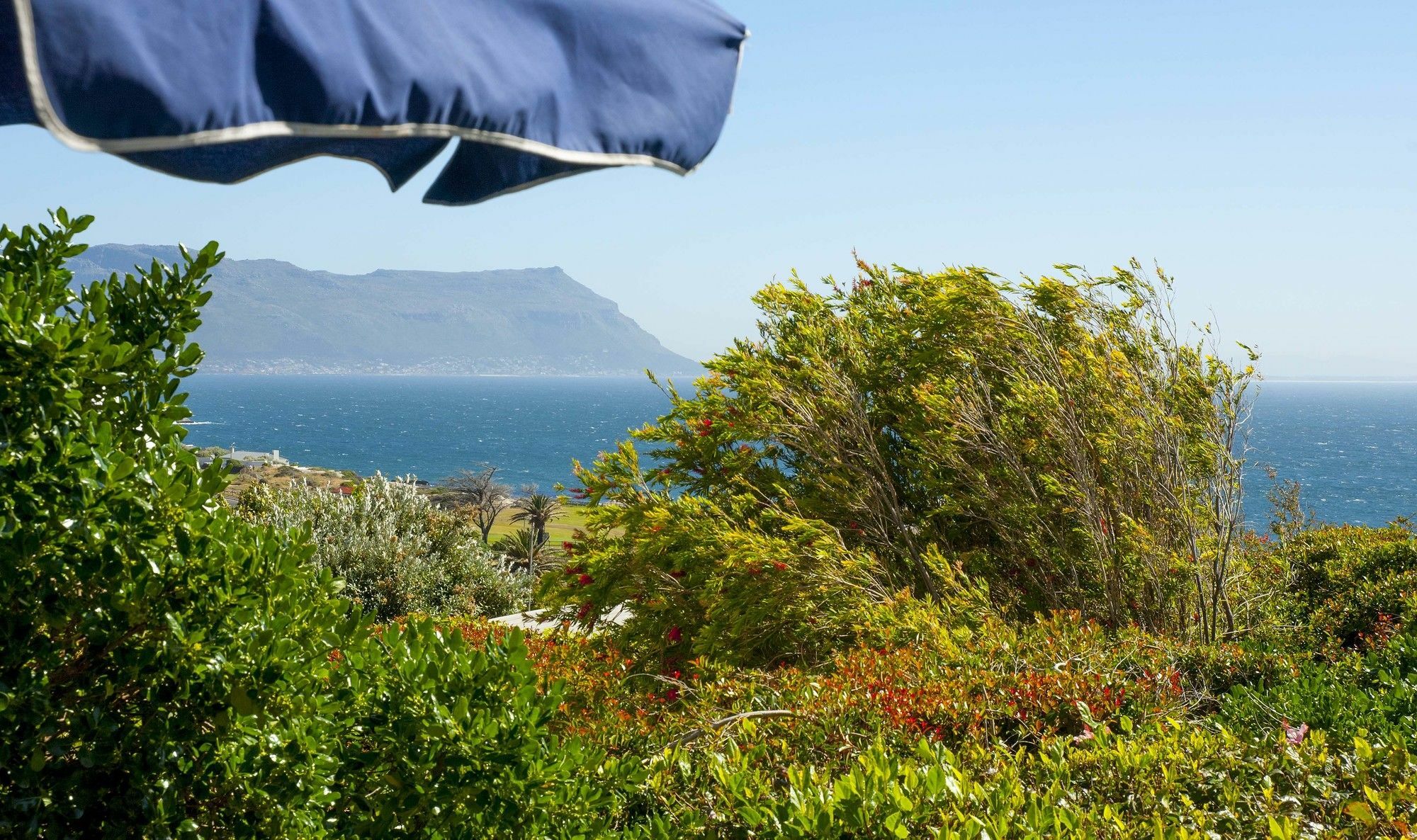 Restio Garden Studio Simon's Town Exterior photo